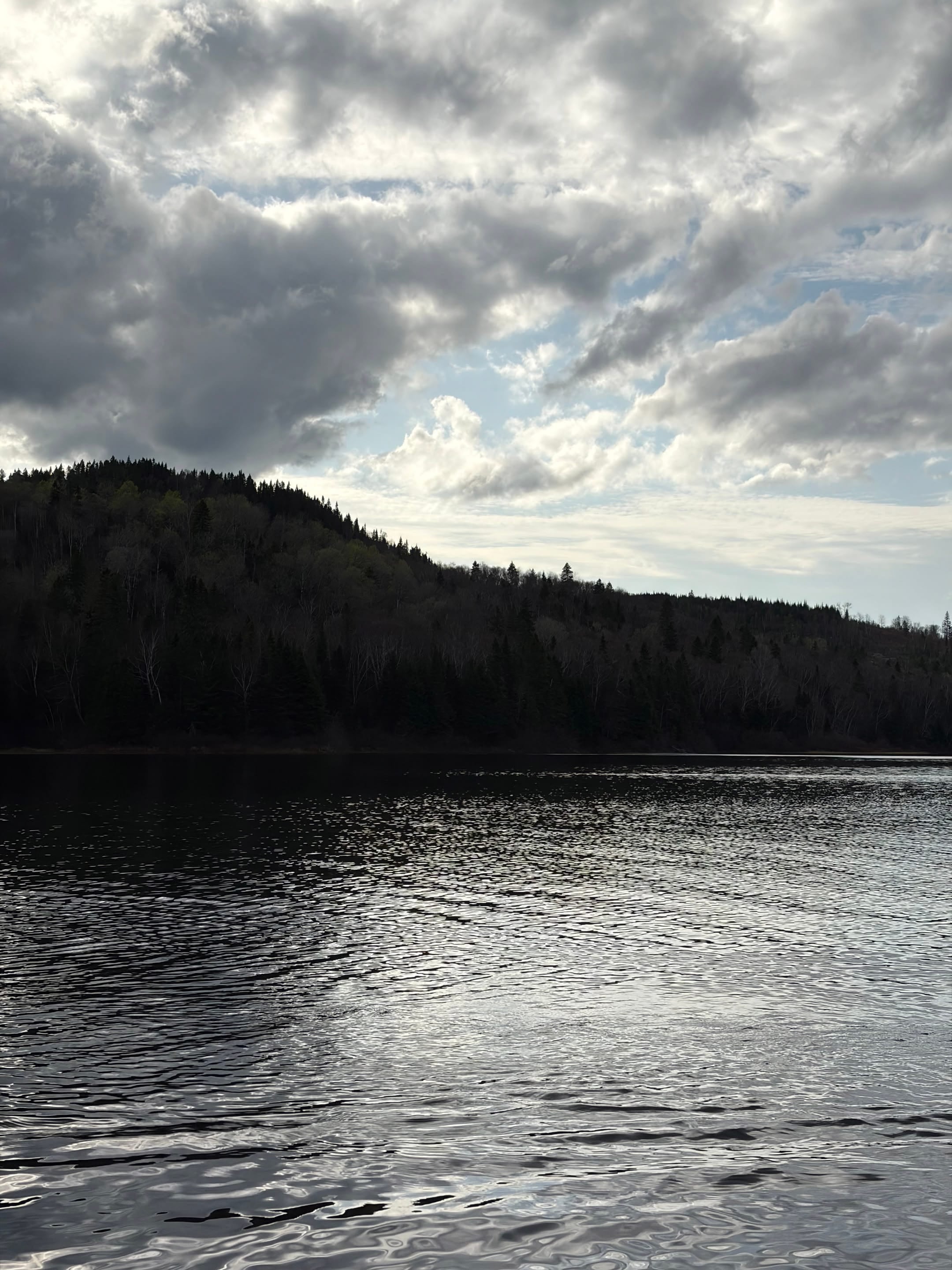 Mousse, lichen et gros nuages