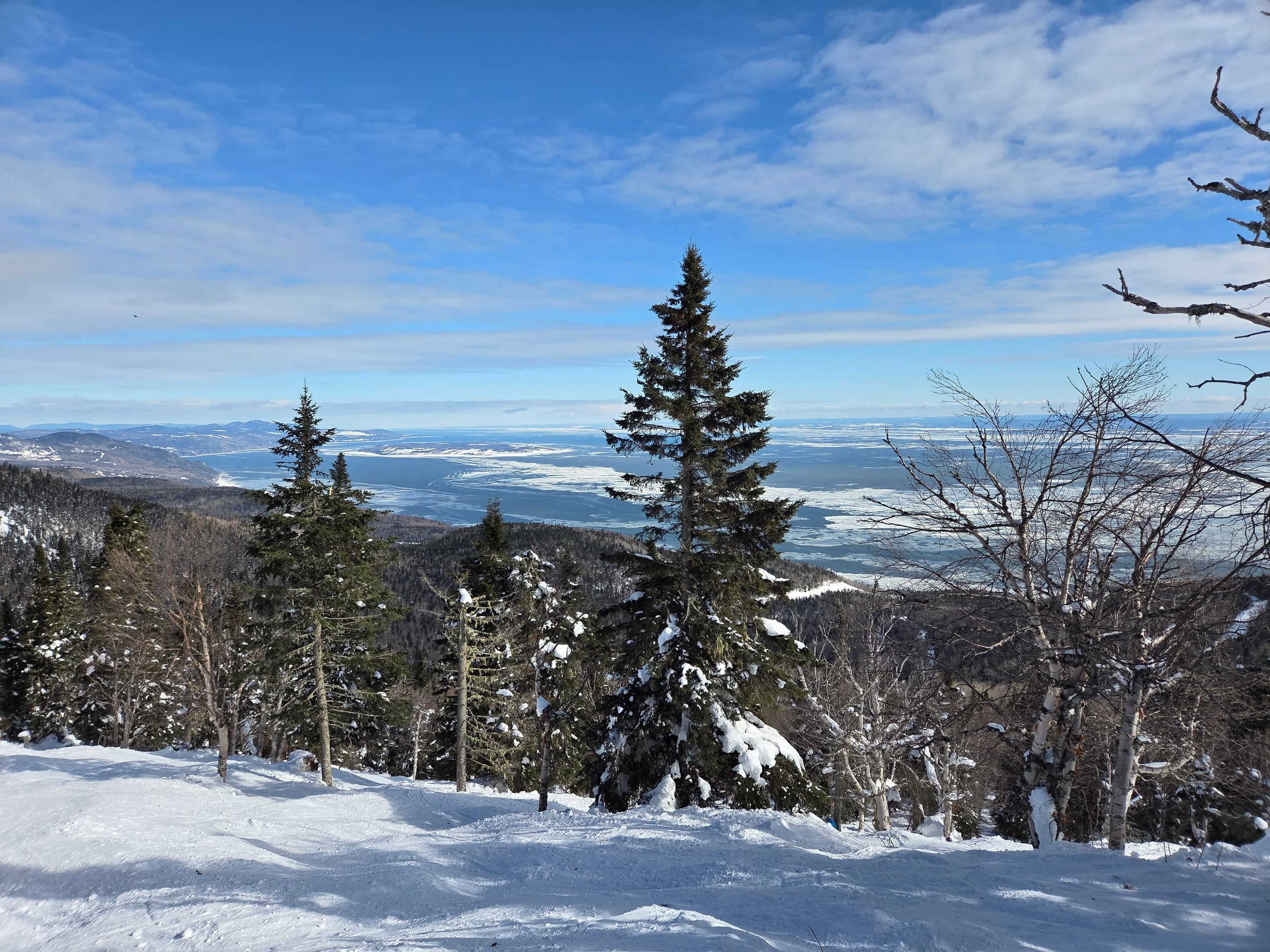 Journée de planche, vue sur le fleuve