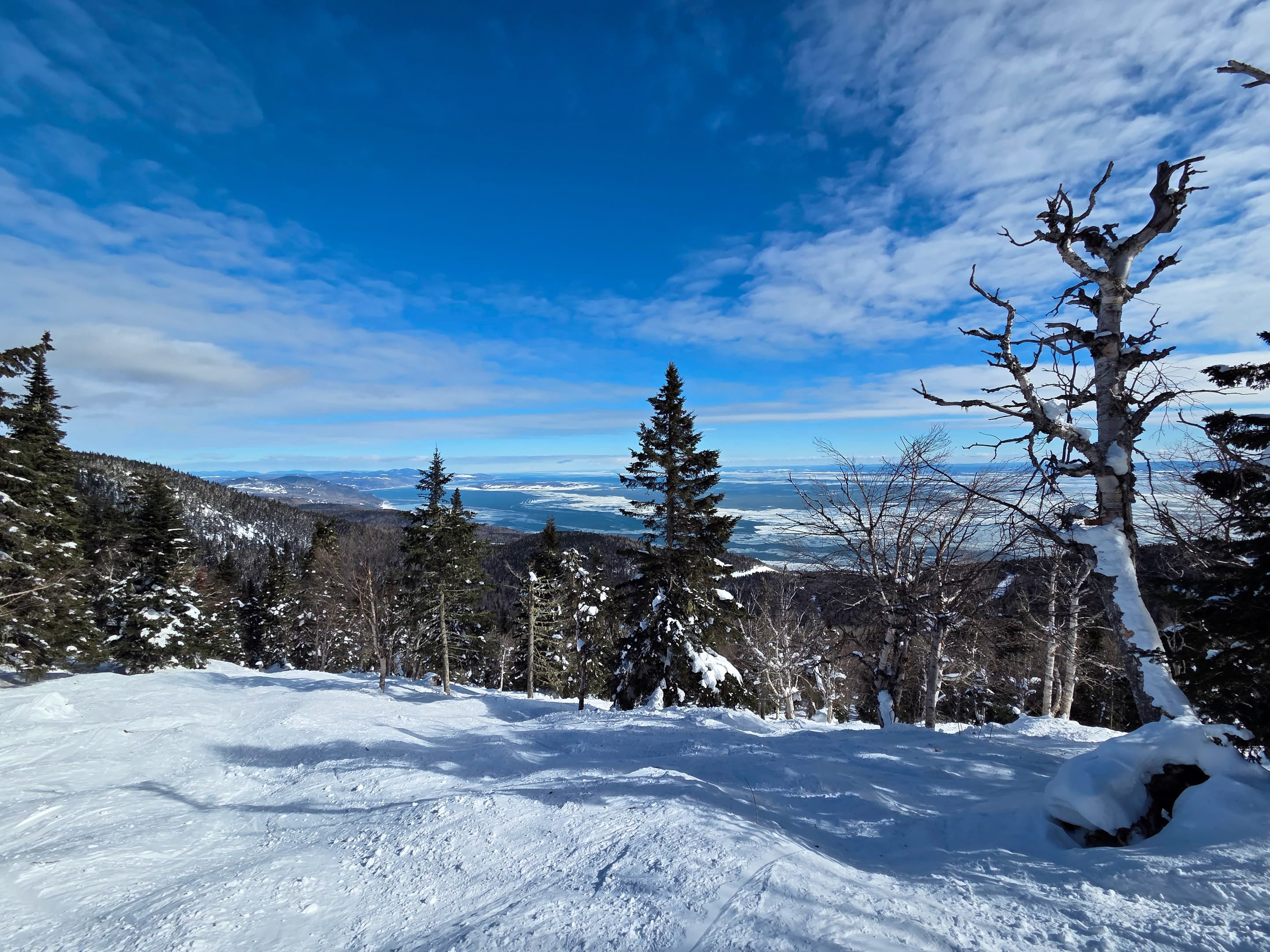 Journée de planche, vue sur le fleuve