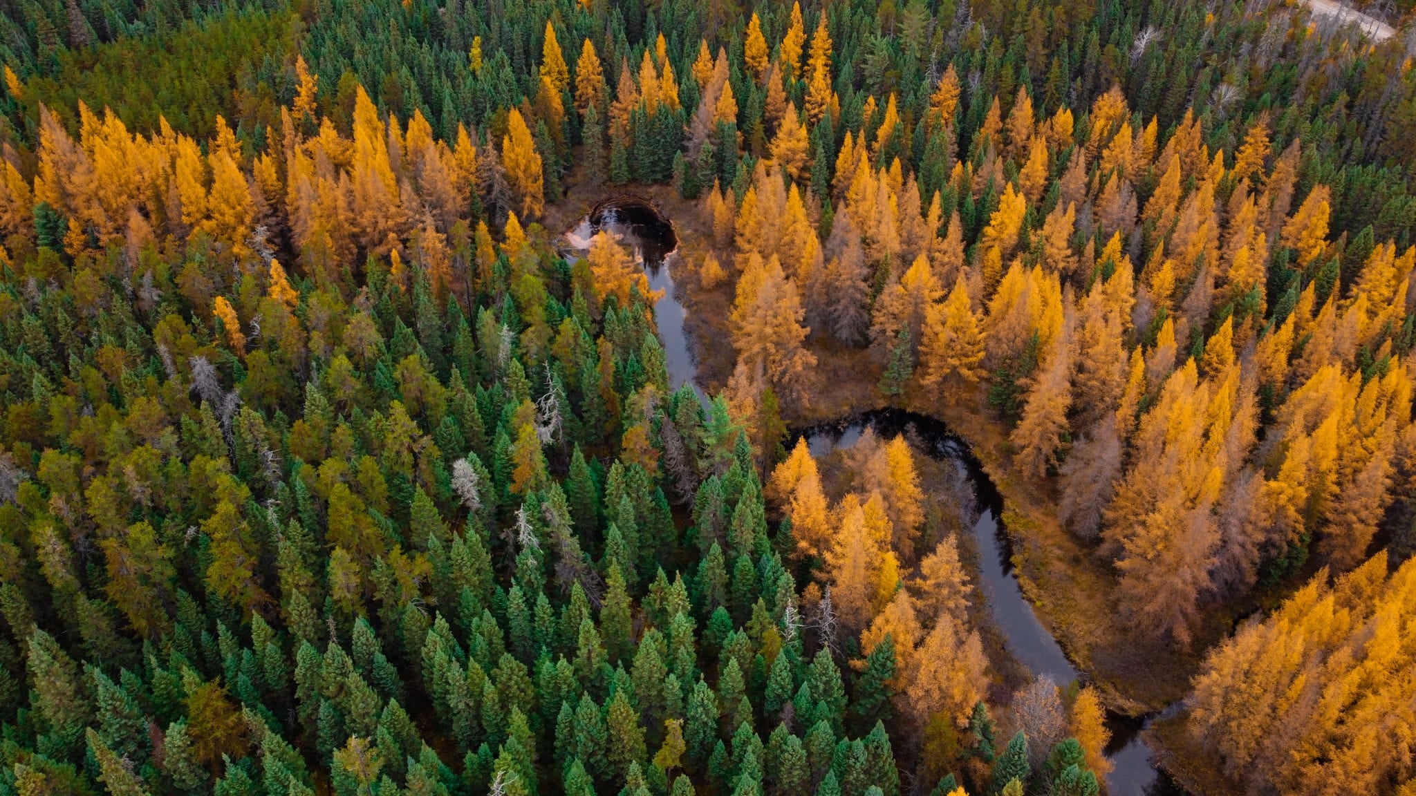 Automne 2022