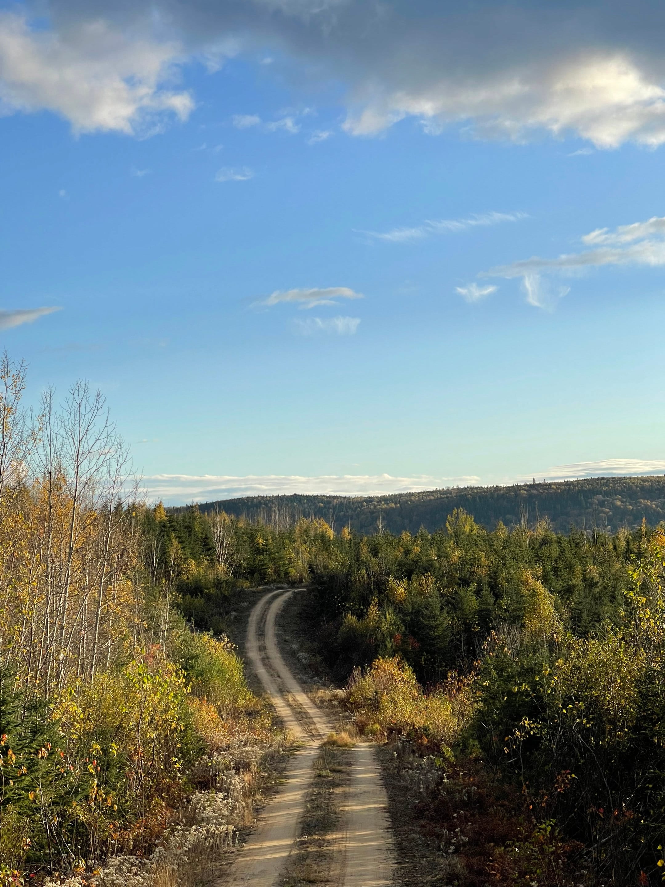 Le lac et la forêt d'automne