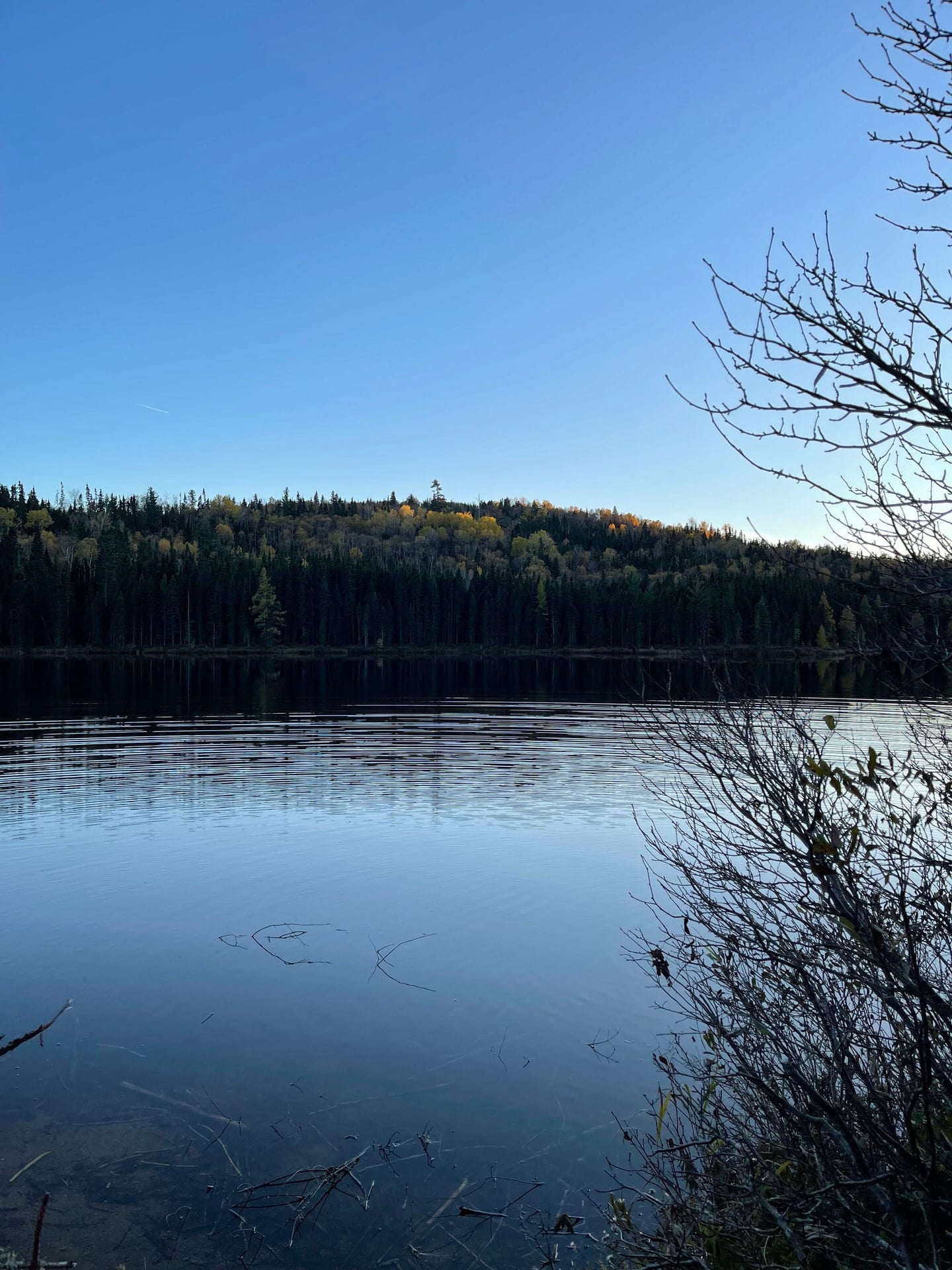 Le lac et la forêt d'automne