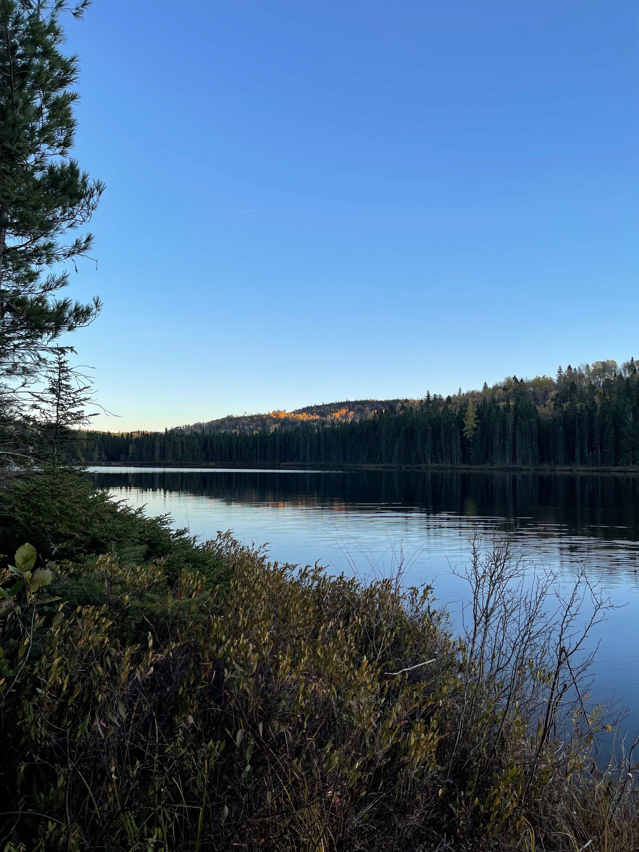 Le lac et la forêt d'automne