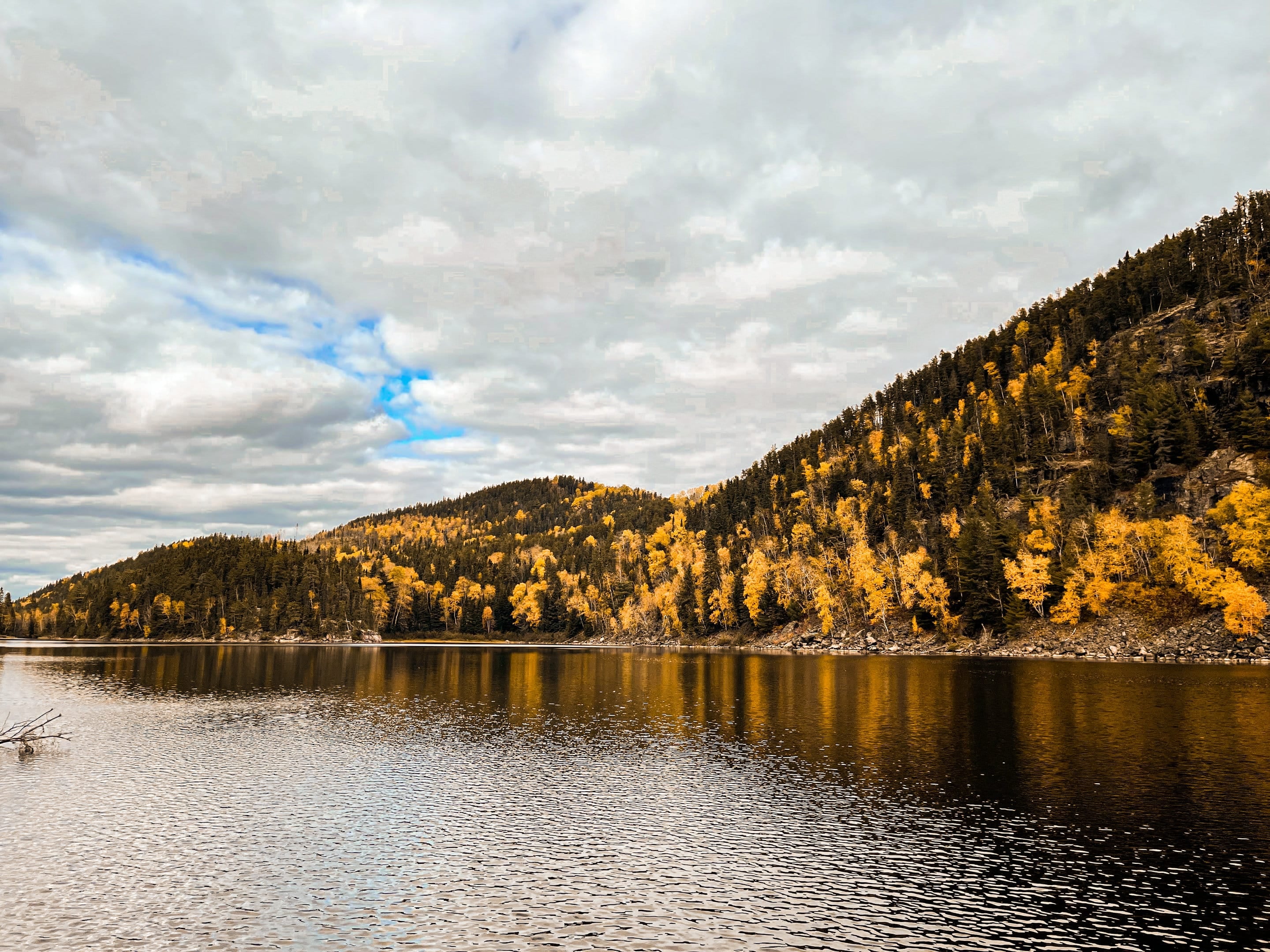 Le lac et la forêt d'automne
