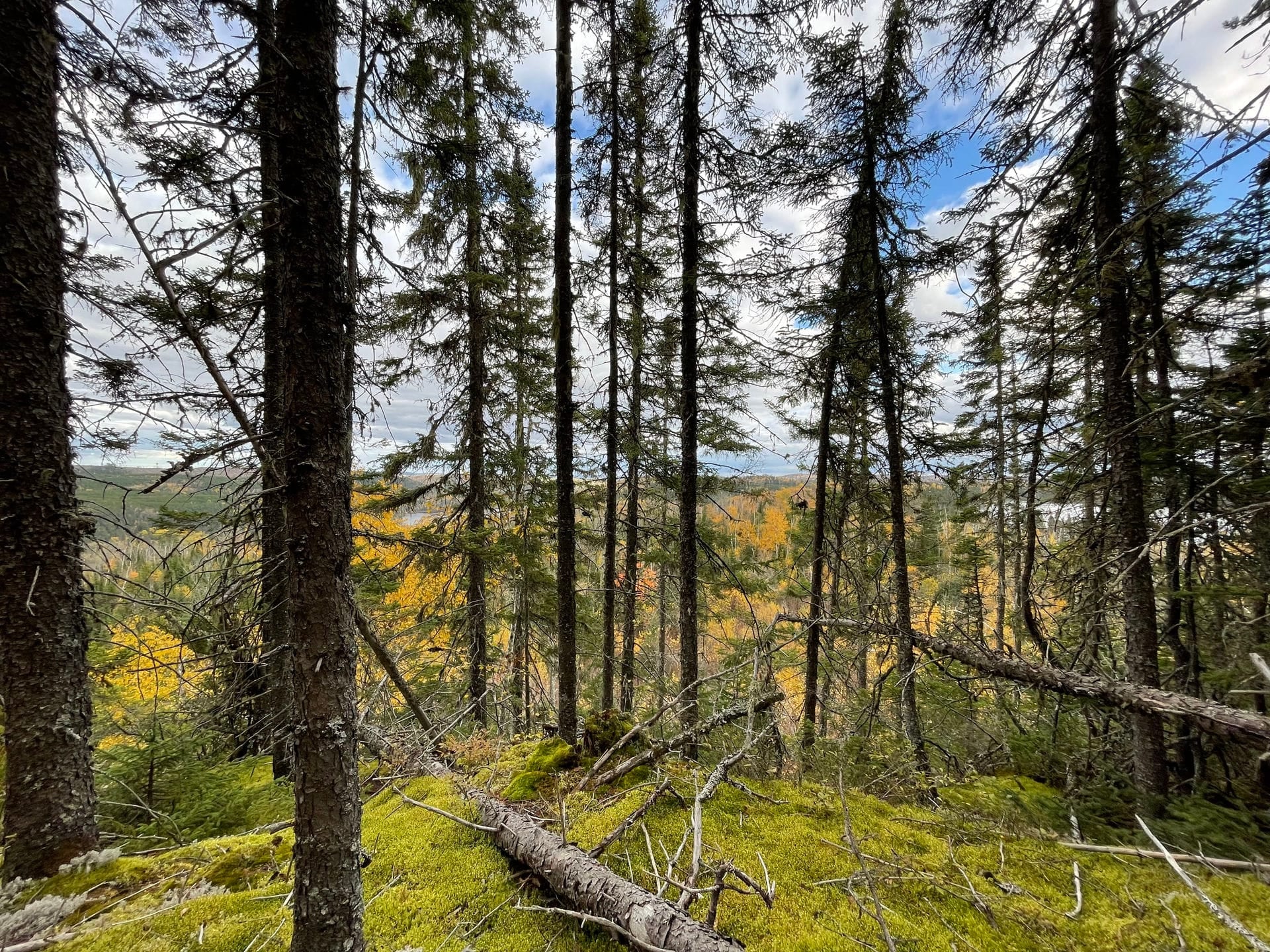Le lac et la forêt d'automne