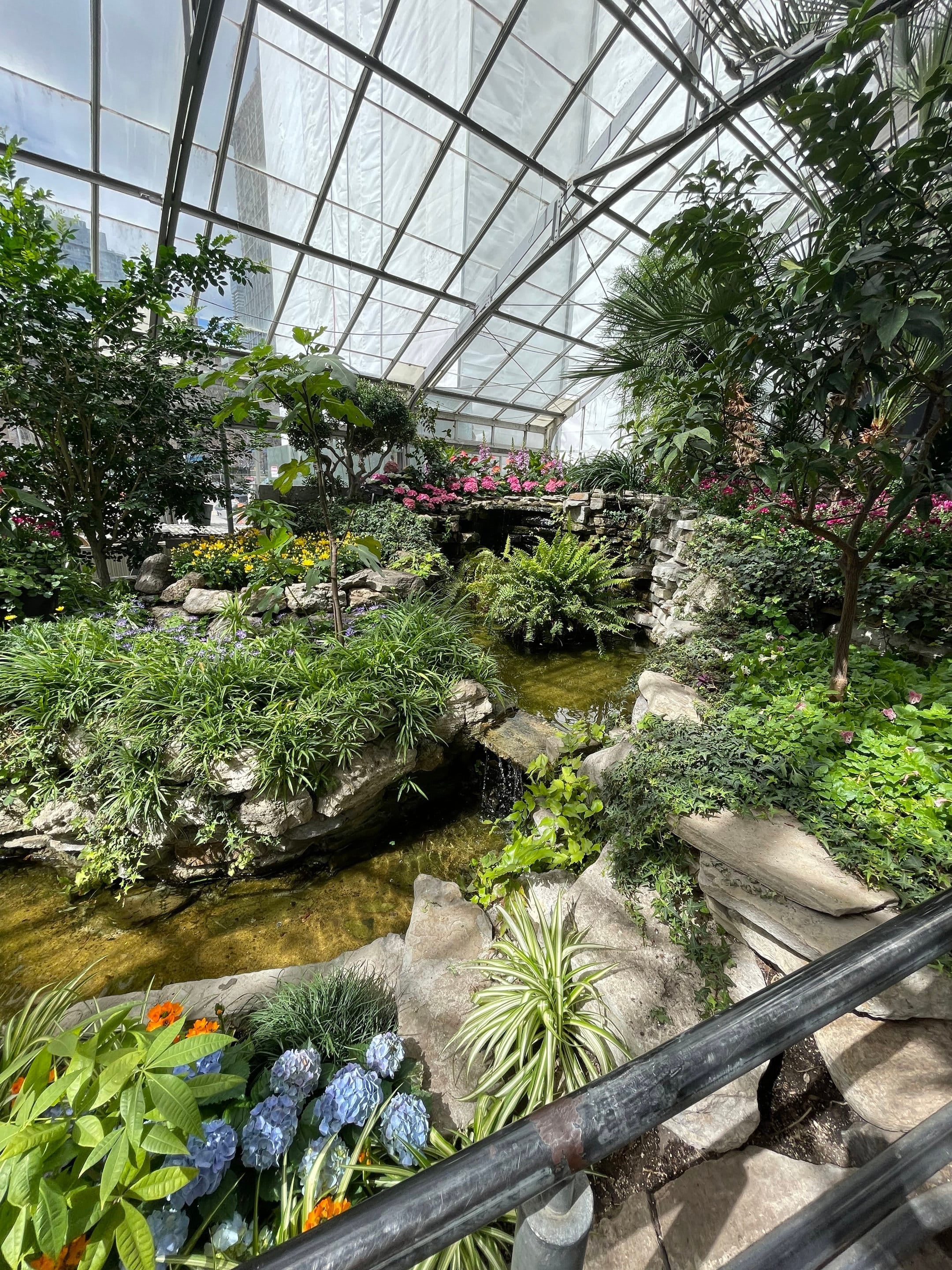 Jardin à Toronto