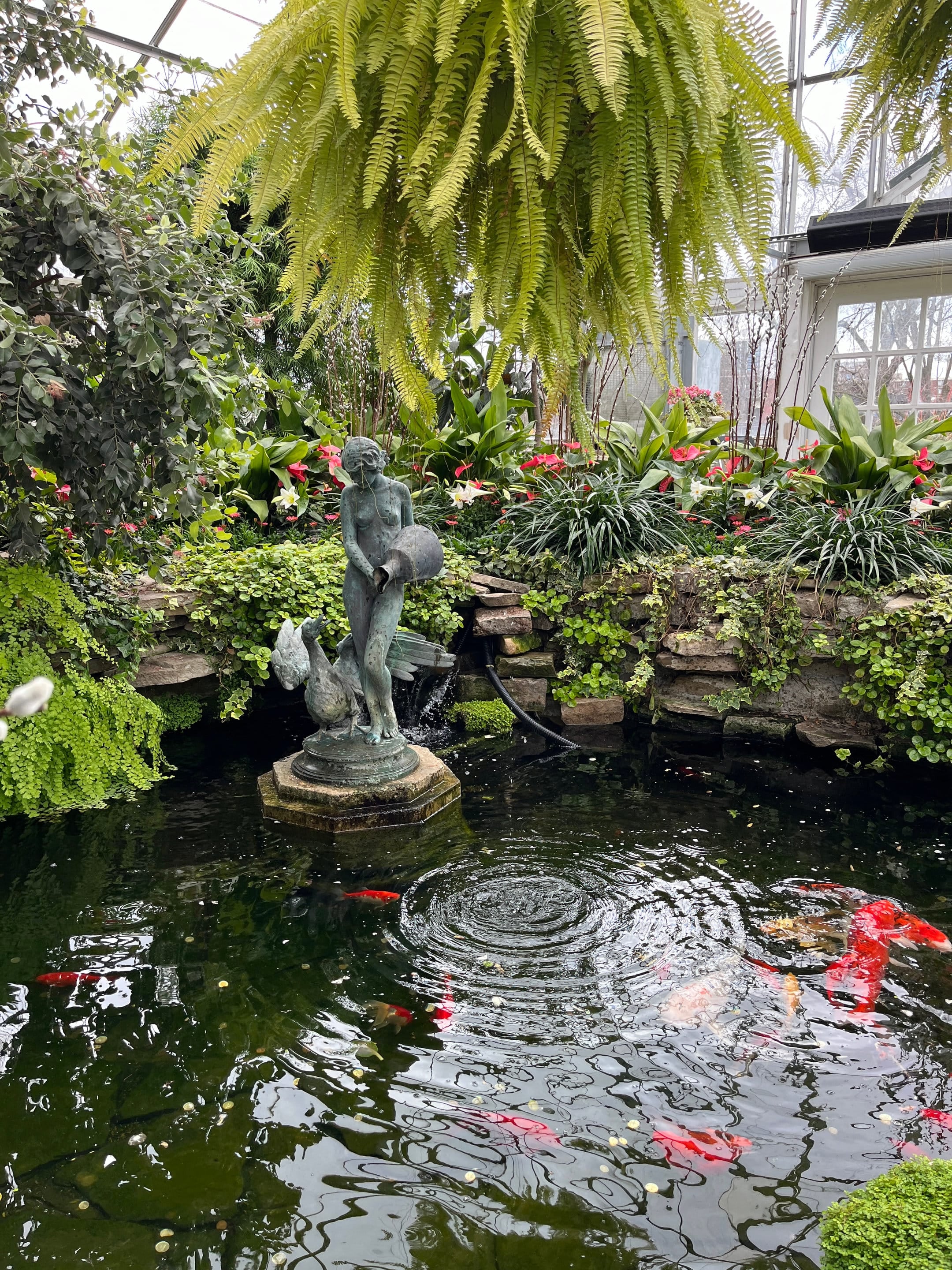 Jardin à Toronto