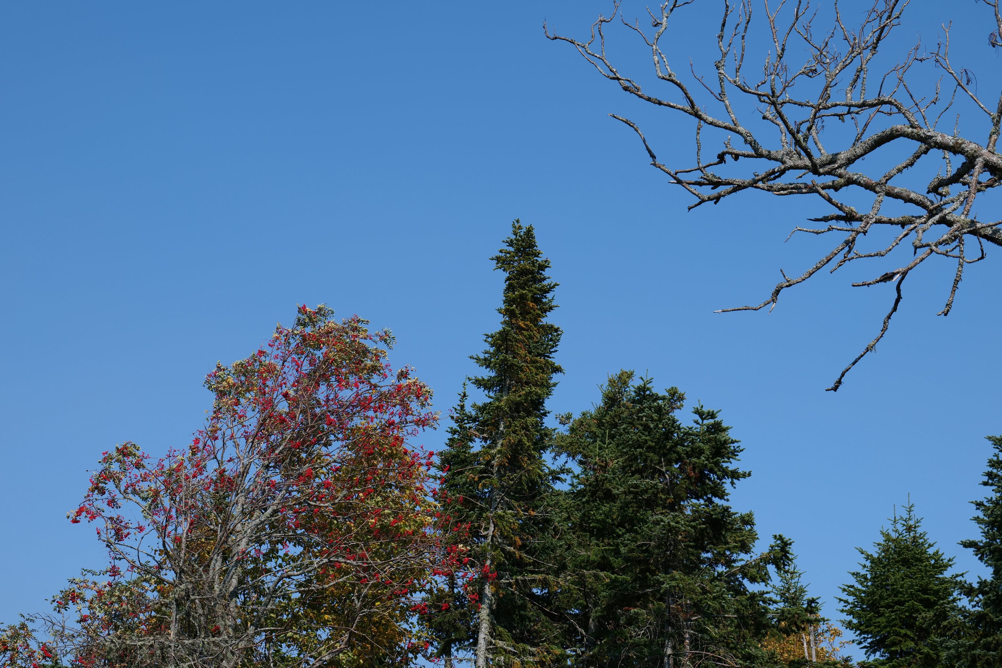 Séjour en montagne, Charlevoix