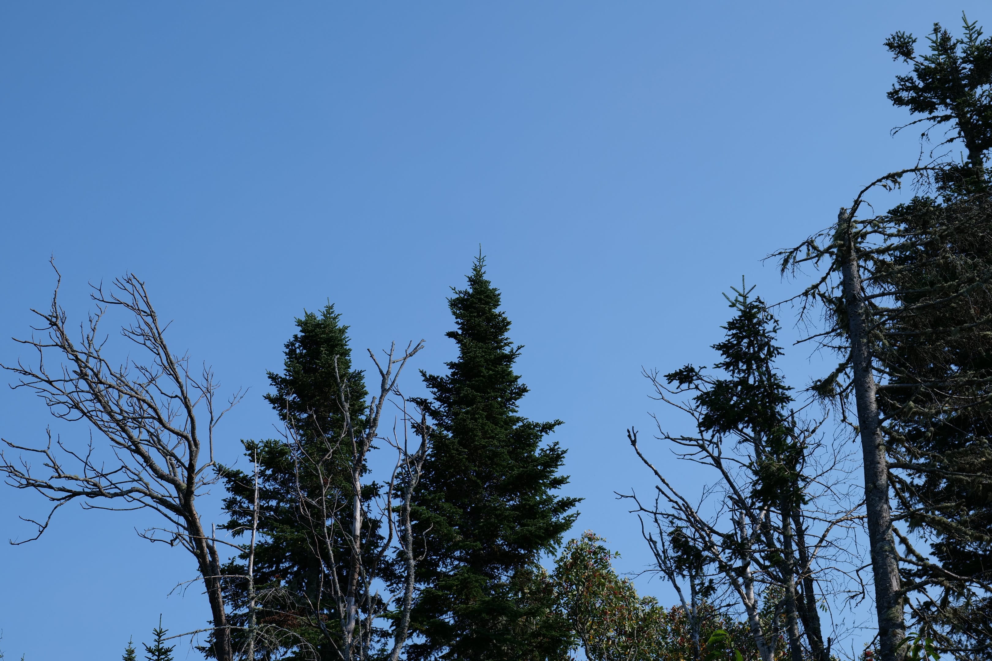 Séjour en montagne, Charlevoix